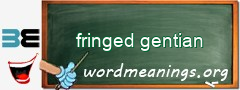 WordMeaning blackboard for fringed gentian